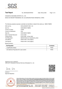Lead Content - Mesh
