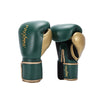 Pro Style Boxing Gloves